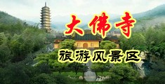 日本操逼免费网中国浙江-新昌大佛寺旅游风景区